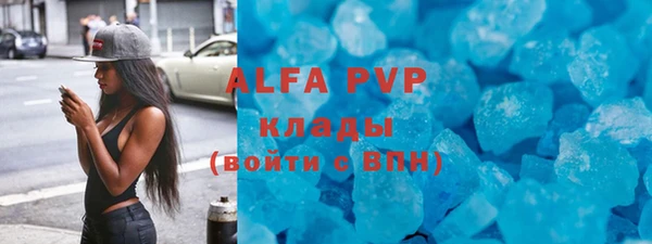 сатива Магас