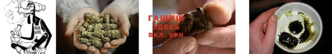 сатива Магас