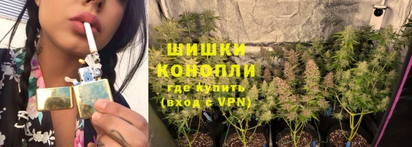 сатива Магас