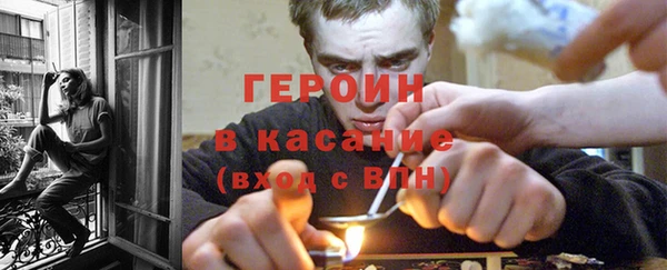 сатива Магас