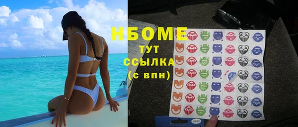 сатива Магас