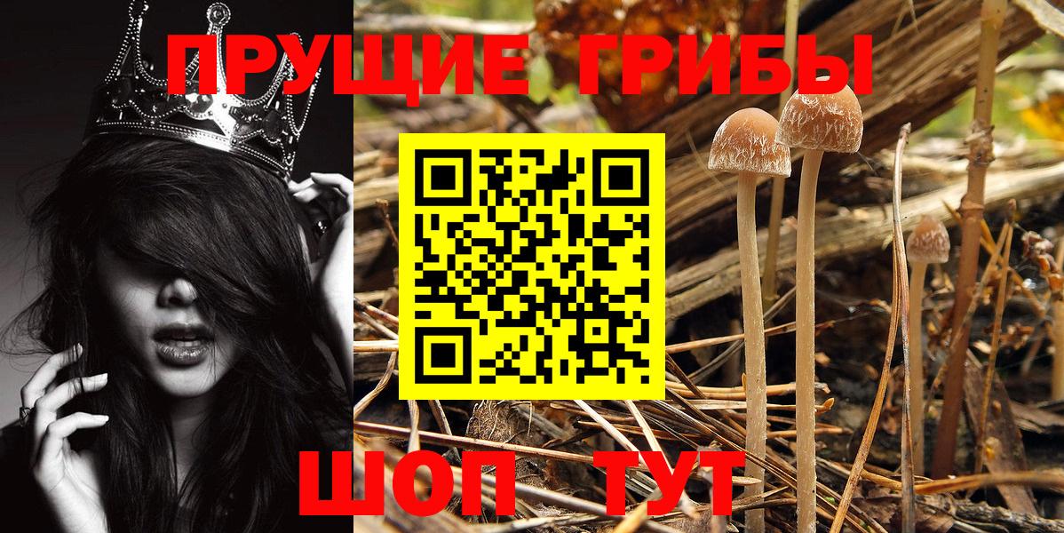 Серпухов  Вход с VPN  МЕФ кристаллы  Конопля  ГАШ  Каннабис  NBOMe 